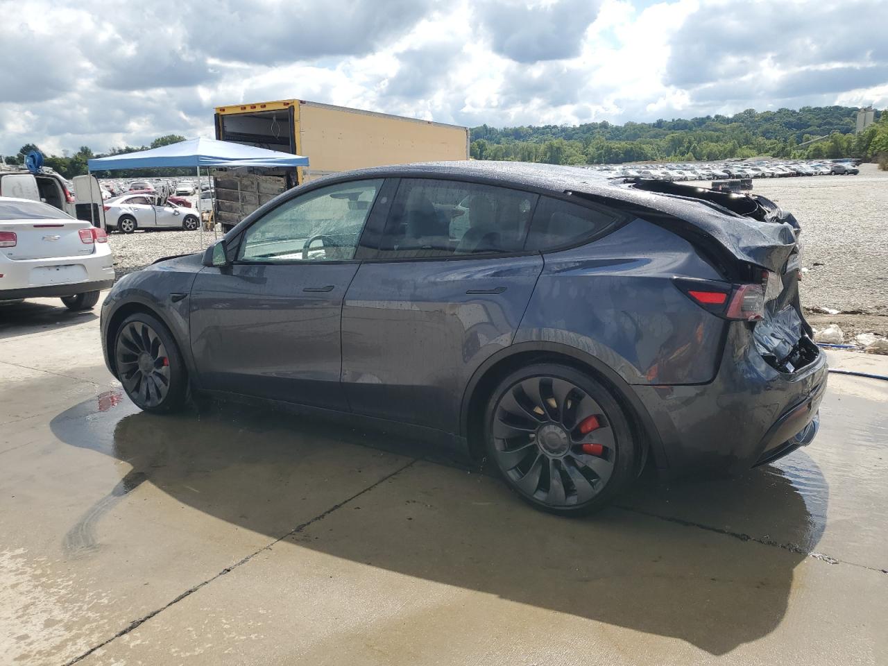 TESLA MODEL Y