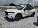 Lot #3304675926 2025 HONDA CR-V SPORT