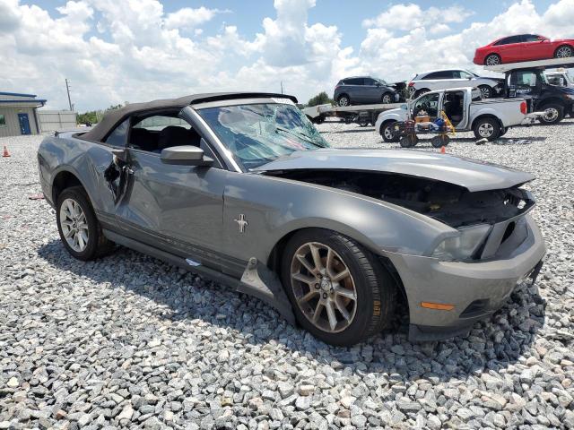 2010 FORD MUSTANG - 1ZVBP8EN1A5117708