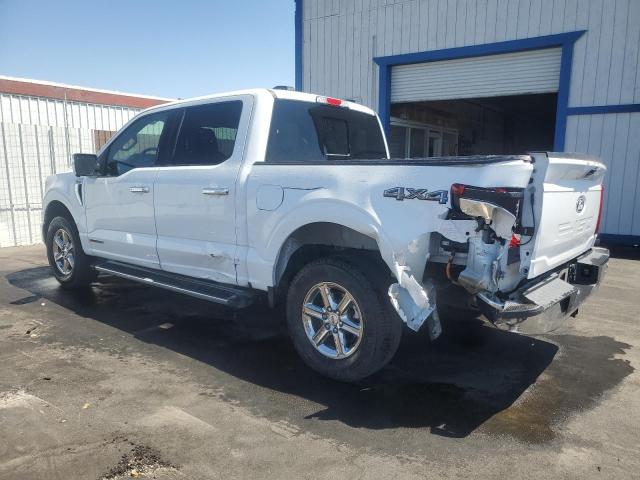 2024 FORD F150 XLT 1FTFW3LD4RFA21002