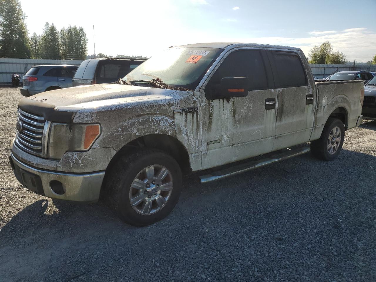 FORD F-150 SUPERCREW