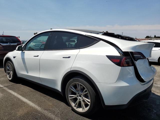 2023 TESLA MODEL Y 7SAYGDEE0PA032226