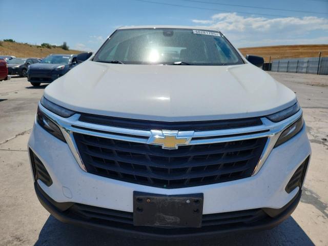 2022 CHEVROLET EQUINOX LS - 3GNAXSEVXNS240079