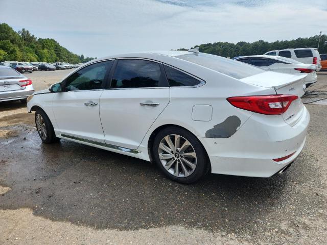 2016 HYUNDAI SONATA SPO 5NPE34AF0GH428784