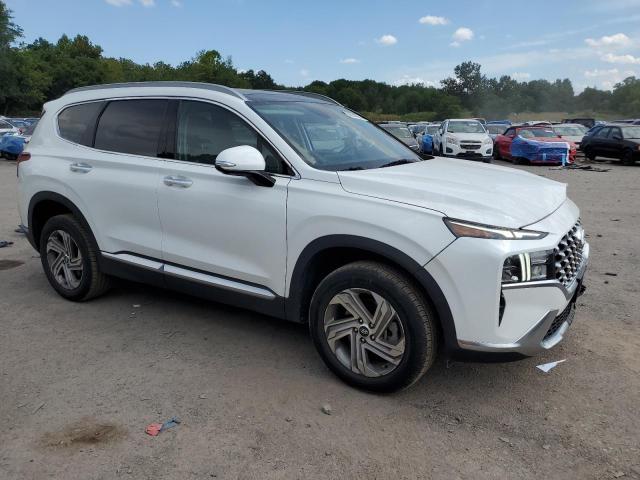 2023 HYUNDAI SANTA FE SEL PREMIUM 5NMS3DAJ0PH526072