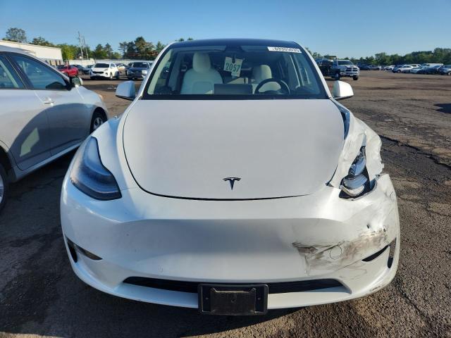 2021 TESLA MODEL Y 5YJYGDEE3MF243156