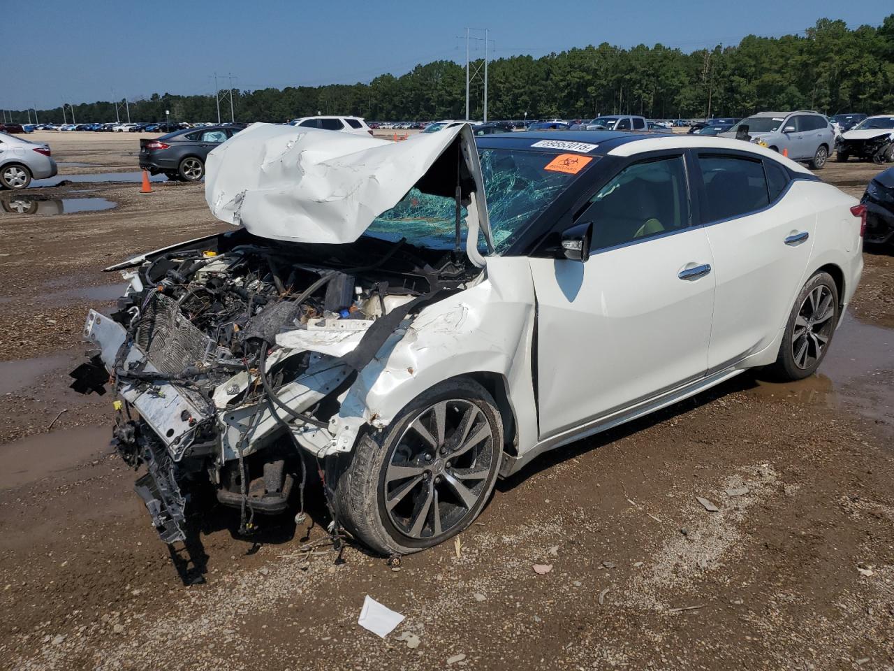 NISSAN MAXIMA 3.5S