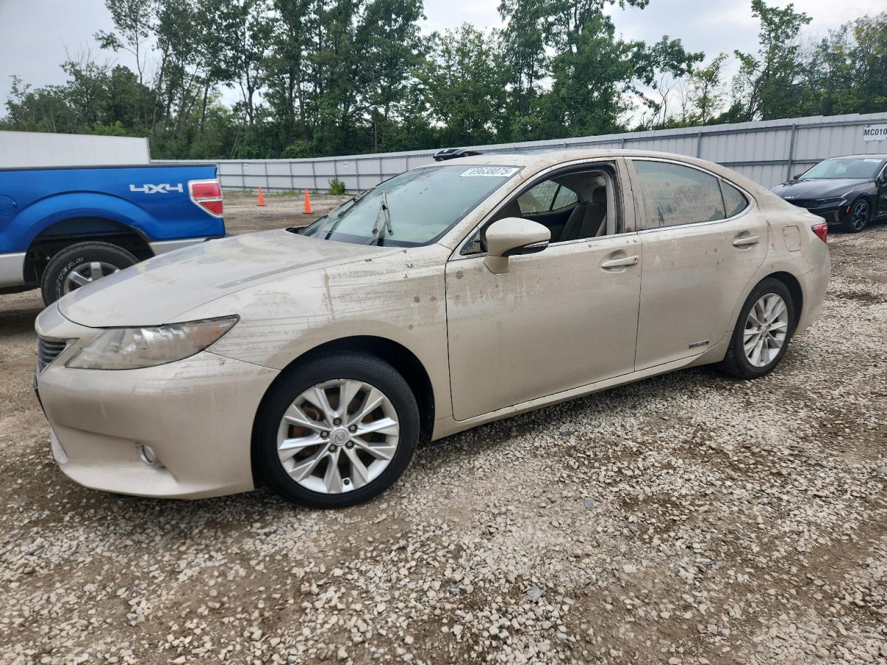 LEXUS ES 300H