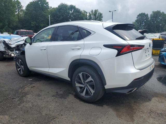 2019 LEXUS NX 300 BAS - JTJBARBZ2K2184500
