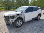 2019 GMC TERRAIN SL - 3GKALTEV3KL337743