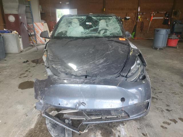 2021 TESLA MODEL Y - 5YJYGDEE9MF109817