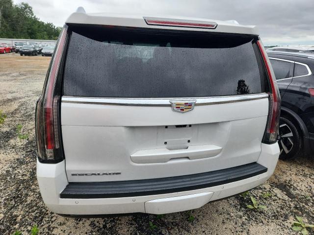 2019 CADILLAC ESCALADE P 1GYS4CKJ2KR129953