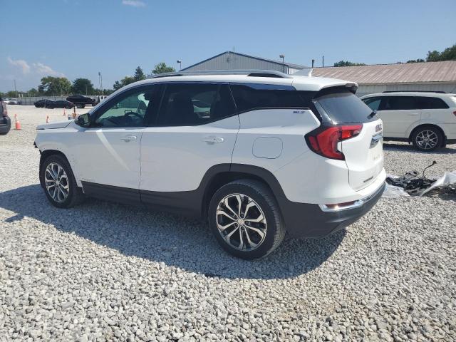 2019 GMC TERRAIN SL 3GKALPEV0KL176047