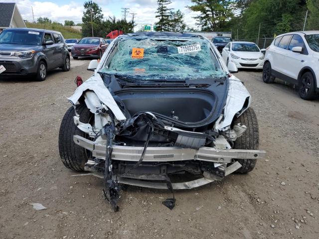 2023 TESLA MODEL 3 #3287509994