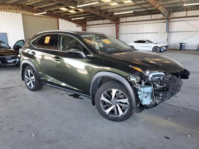 2021 LEXUS NX 300H BA JTJGJRDZ2M2152281