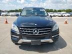 Lot #3308528512 2015 MERCEDES-BENZ ML 250 BLU