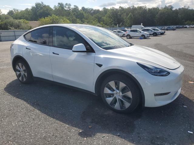 2021 TESLA MODEL Y 5YJYGDEE2MF142609
