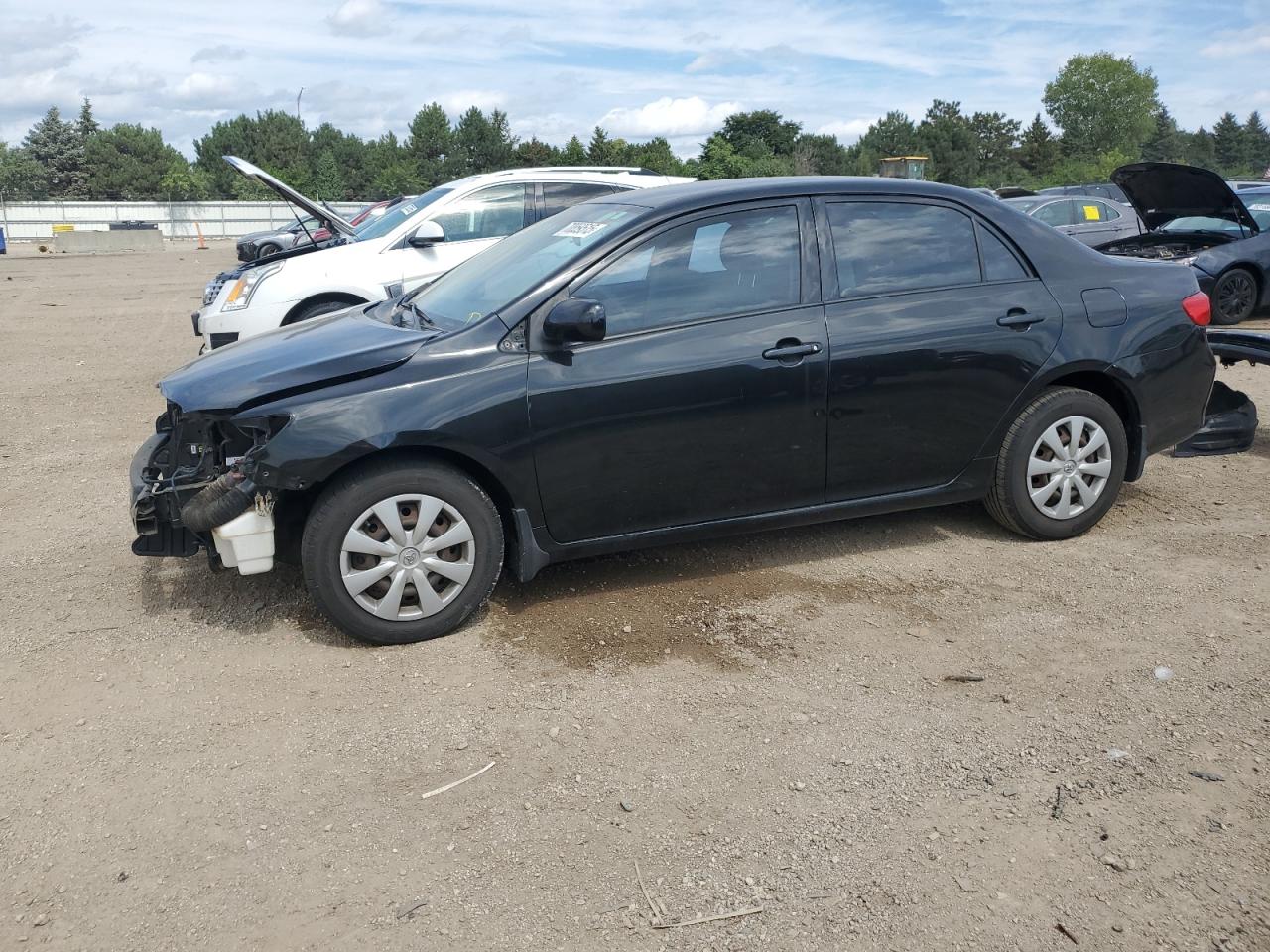 TOYOTA COROLLA BASE