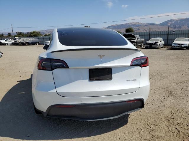 2022 TESLA MODEL Y - 7SAYGDEFXNF406995