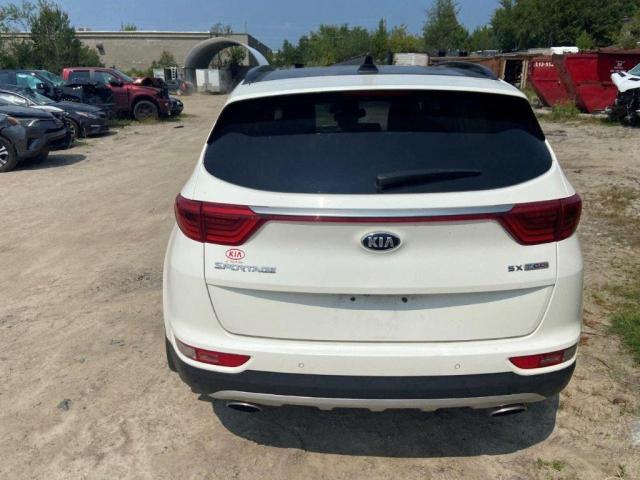 2019 KIA SPORTAGE S - KNDPRCA61K7568406
