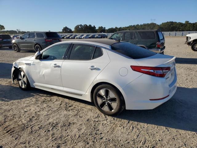2013 KIA OPTIMA HYB - KNAGM4AD0D5057770