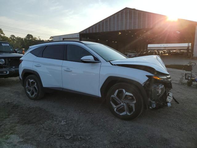 2024 HYUNDAI TUCSON LIM 5NMJE3DE5RH412599