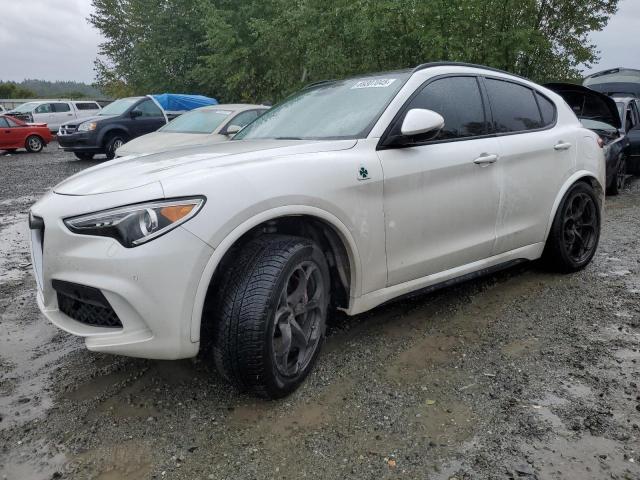 Global Auto Auctions: 2018 ALFA ROMEO STELVIO QU