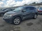 Lot #3303962727 2014 HONDA CR-V EXL