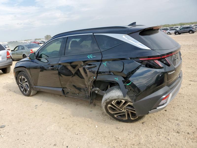 2025 HYUNDAI TUCSON LIM 5NMJE3DE0SH461859