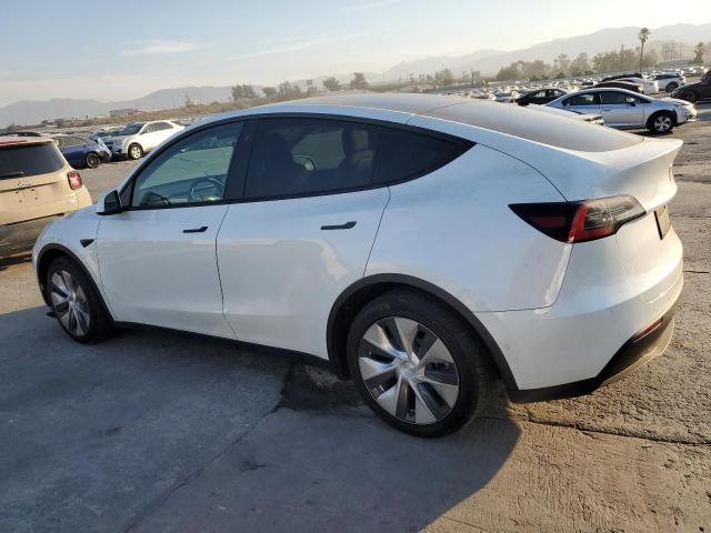 2020 TESLA MODEL Y 5YJYGDEE5LF054345