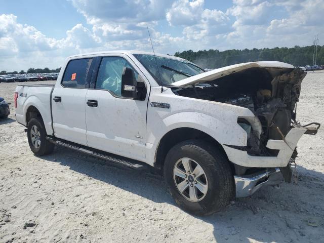 2016 FORD F150 SUPERCREW 1FTEW1EP6GKF00176