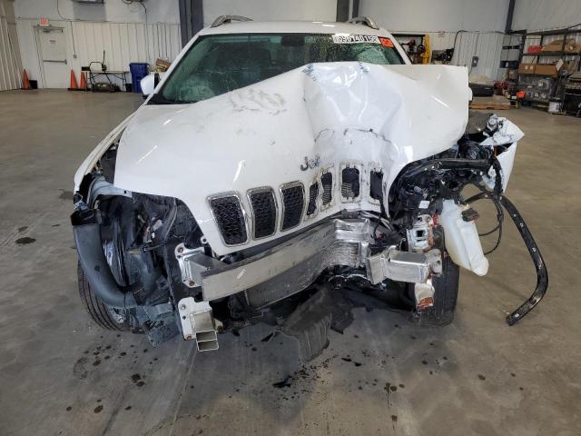 2019 JEEP CHEROKEE L - 1C4PJMDX3KD135432