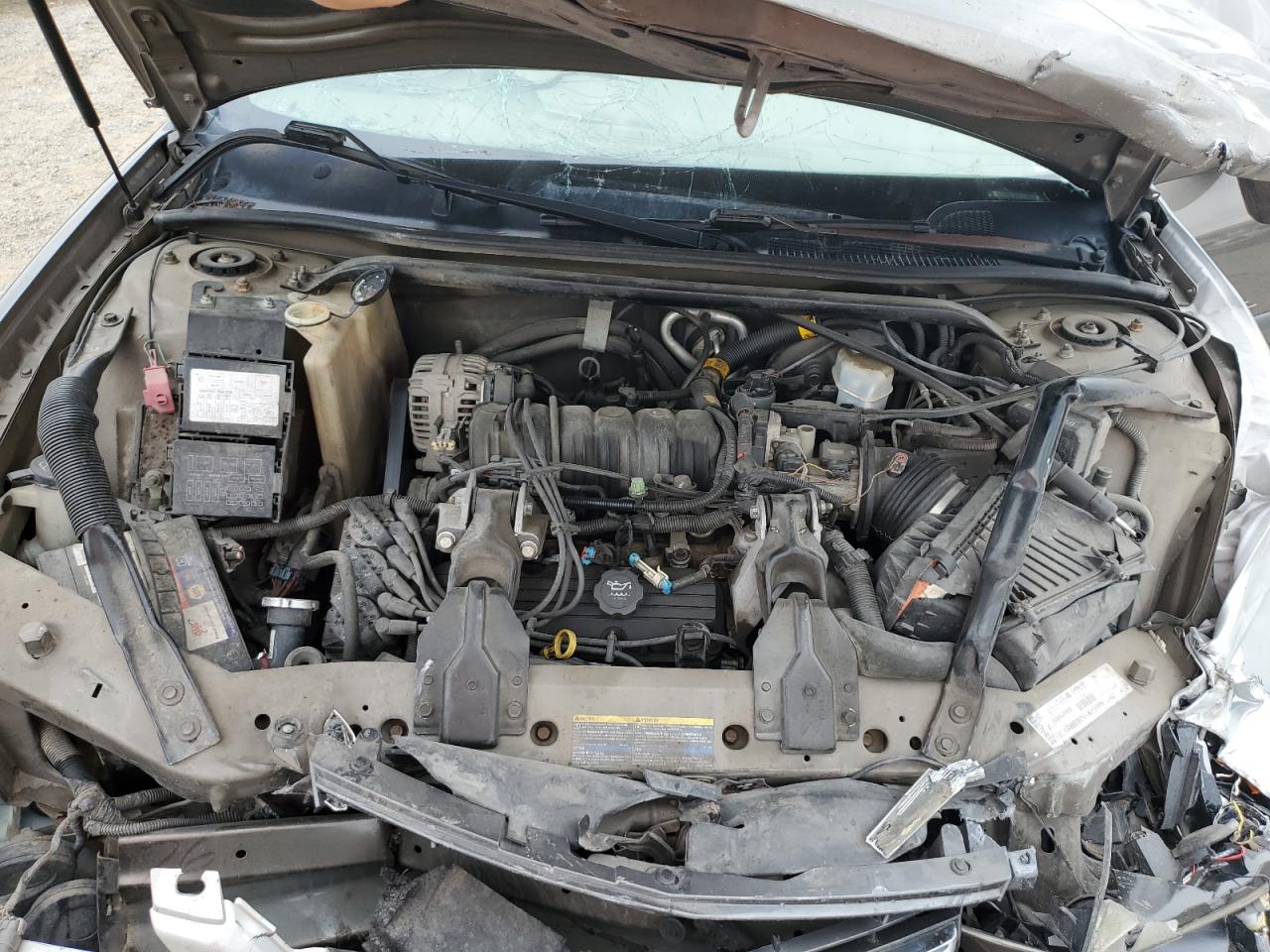 Lot #3236054143 2003 CHEVROLET IMPALA LS