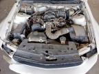 Lot #3297226390 2005 FORD MUSTANG