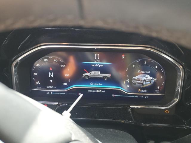 2023 CHEVROLET SILVERADO 1GCUDDED7PZ334380