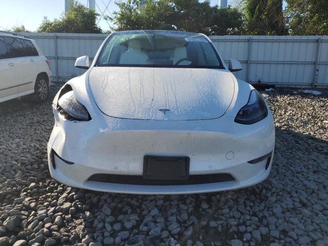 2022 TESLA MODEL Y 7SAYGDEEXNF549646