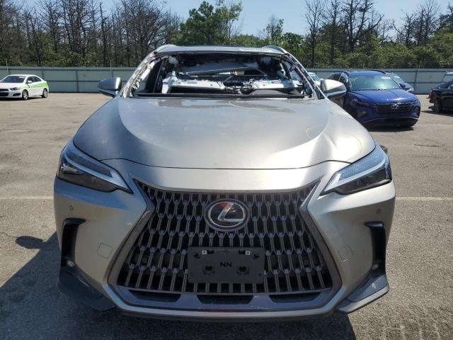 2024 LEXUS NX 350 PREMIUM 2T2GGCEZ8RC047195
