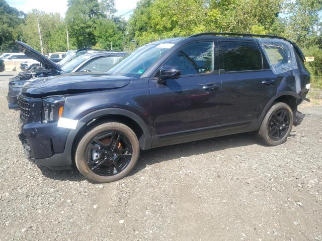 2025 KIA TELLURIDE SX - 5XYP5DGC6SG647796