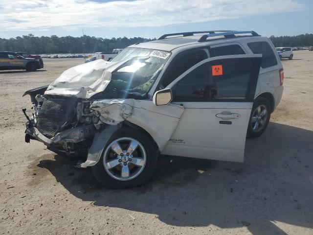 Global Auto Auctions: 2009 FORD ESCAPE LIM