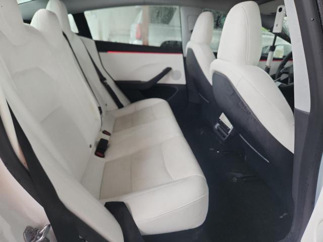 2025 TESLA MODEL 3 5YJ3E1EA7SF979879