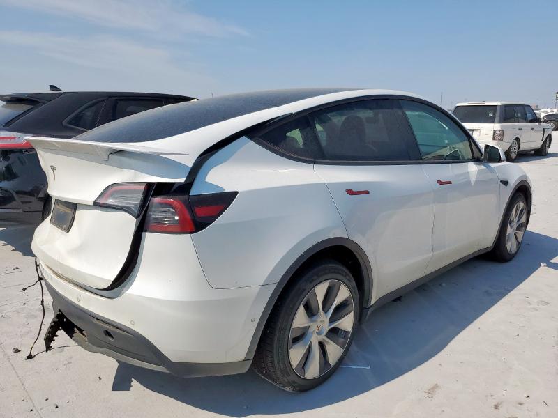 2021 TESLA MODEL Y #3290423785