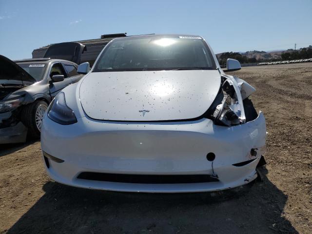 2024 TESLA MODEL Y - 7SAYGDEE9RF186598