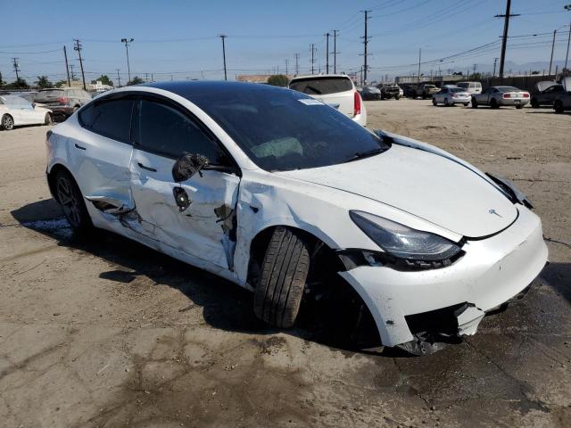 2023 TESLA MODEL 3 #3283770427