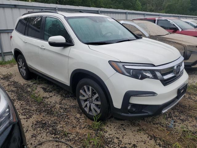 2019 HONDA PILOT EXL 5FNYF6H43KB045045