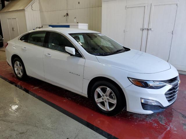 2024 CHEVROLET MALIBU LT - 1G1ZD5ST1RF113121