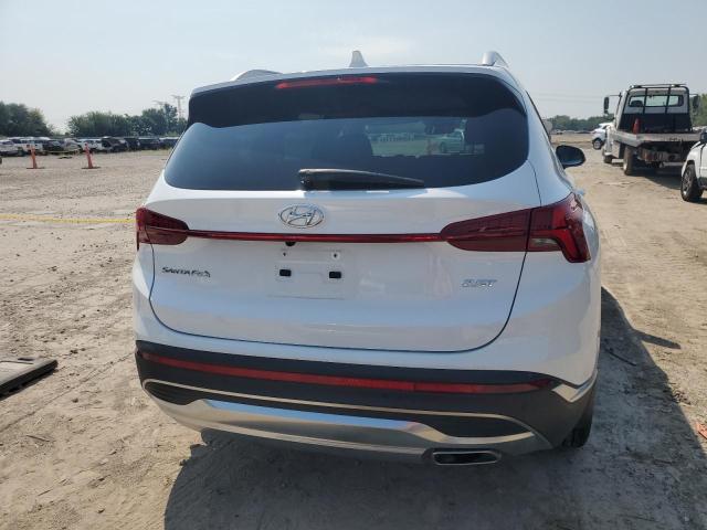 2023 HYUNDAI SANTA FE L 5NMS44AL2PH609825