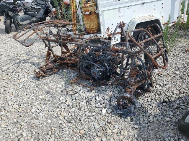 Global Auto Auctions: 2009 OTHER BRUTE FORCE