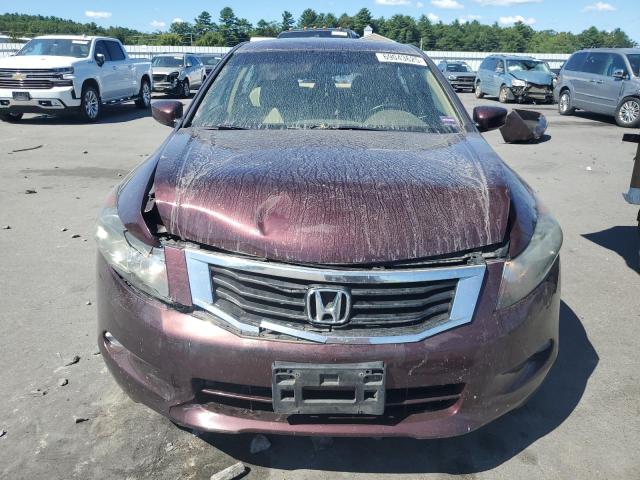 2010 HONDA ACCORD EXL - 5KBCP3F86AB017011