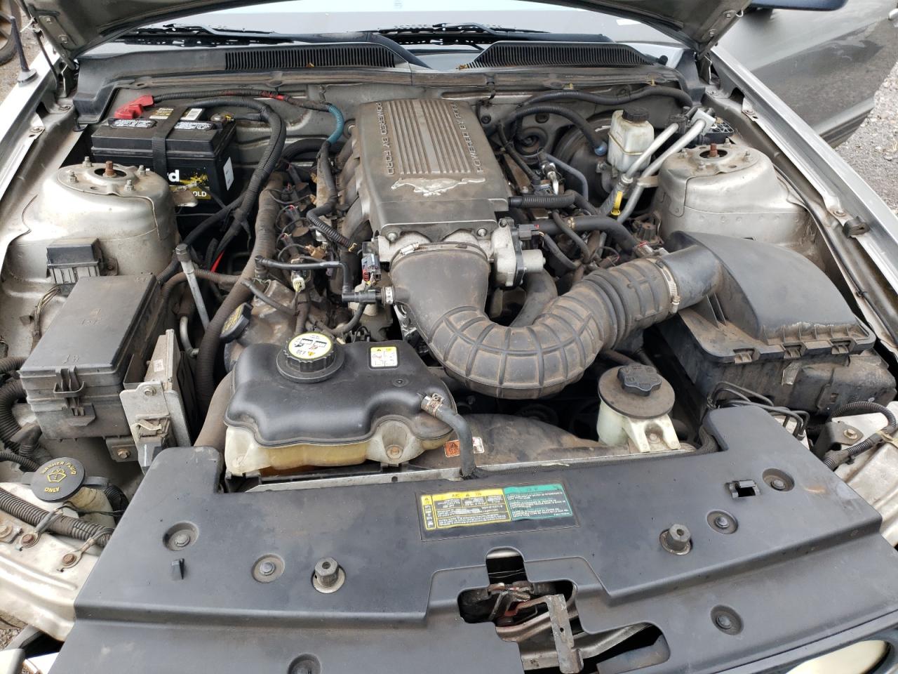 Lot #3262927882 2009 FORD MUSTANG GT