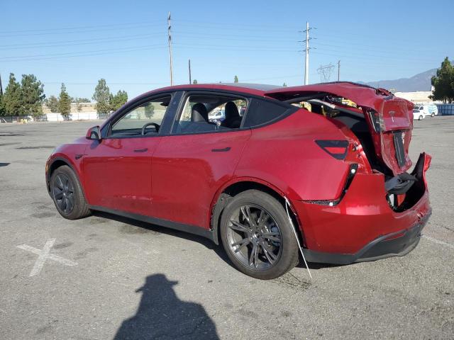 2025 TESLA MODEL Y #3298241022